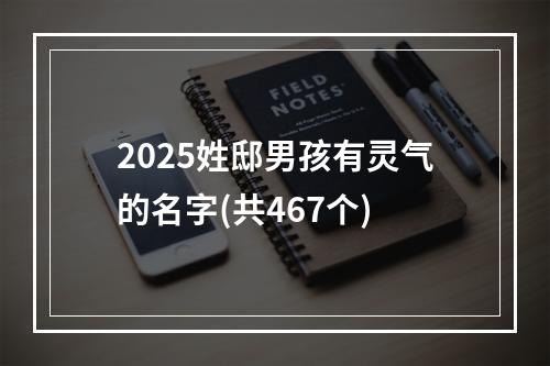 2025姓邸男孩有灵气的名字(共467个)