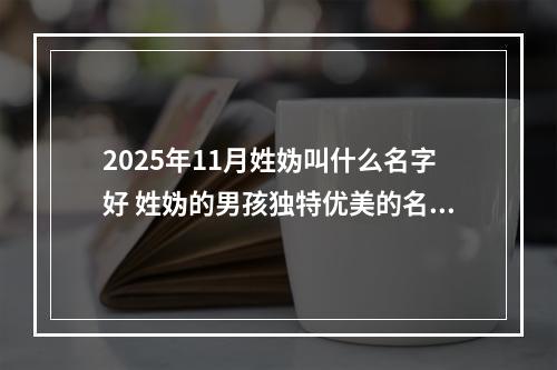 2025年11月姓妫叫什么名字好 姓妫的男孩独特优美的名字