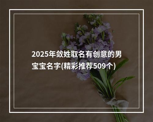2025年敛姓取名有创意的男宝宝名字(精彩推荐509个)