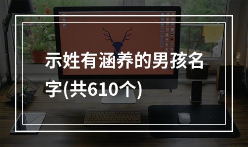 示姓有涵养的男孩名字(共610个)