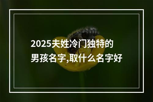 2025夫姓冷门独特的男孩名字,取什么名字好