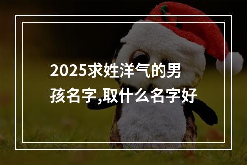 2025求姓洋气的男孩名字,取什么名字好