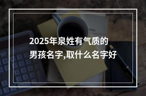 2025年泉姓有气质的男孩名字,取什么名字好