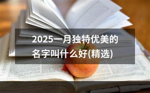 2025一月独特优美的名字叫什么好(精选)