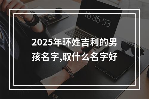 2025年环姓吉利的男孩名字,取什么名字好