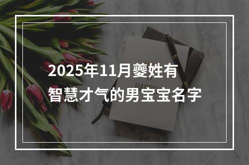 2025年11月夔姓有智慧才气的男宝宝名字