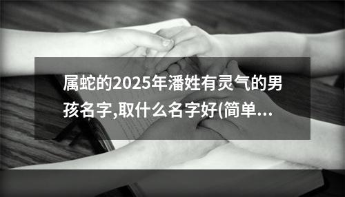 属蛇的2025年潘姓有灵气的男孩名字,取什么名字好(简单)
