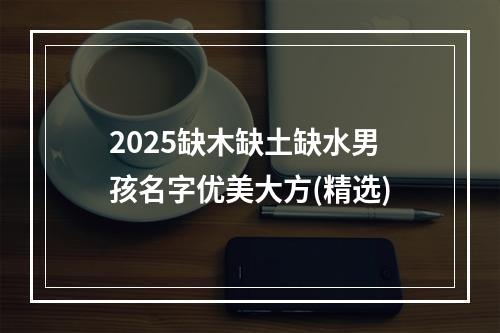 2025缺木缺土缺水男孩名字优美大方(精选)