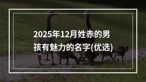 2025年12月姓赤的男孩有魅力的名字(优选)