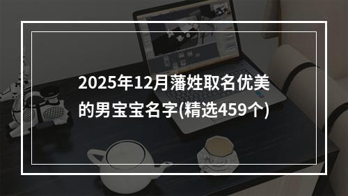2025年12月藩姓取名优美的男宝宝名字(精选459个)