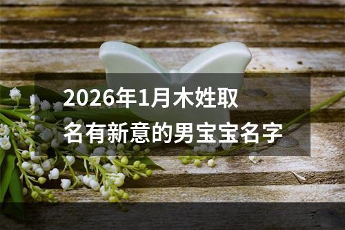2026年1月木姓取名有新意的男宝宝名字