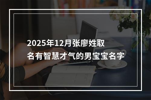 2025年12月张廖姓取名有智慧才气的男宝宝名字