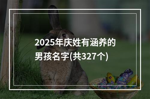 2025年庆姓有涵养的男孩名字(共327个)