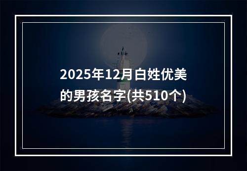 2025年12月白姓优美的男孩名字(共510个)