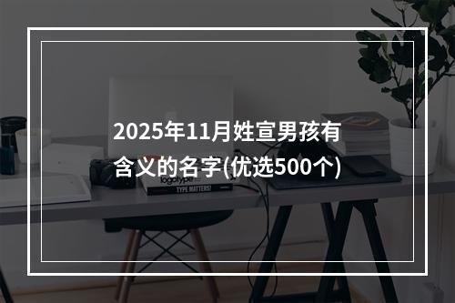 2025年11月姓宣男孩有含义的名字(优选500个)