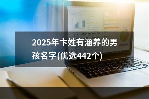 2025年卞姓有涵养的男孩名字(优选442个)