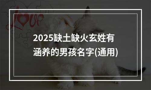 2025缺土缺火玄姓有涵养的男孩名字(通用)