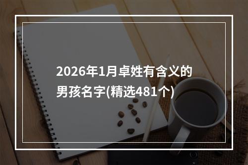 2026年1月卓姓有含义的男孩名字(精选481个)
