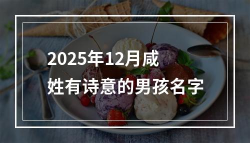 2025年12月咸姓有诗意的男孩名字