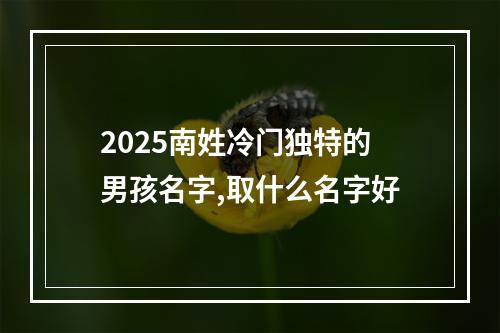 2025南姓冷门独特的男孩名字,取什么名字好