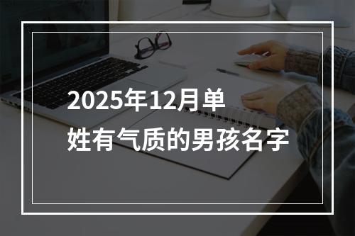 2025年12月单姓有气质的男孩名字