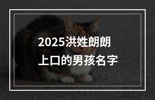 2025洪姓朗朗上口的男孩名字
