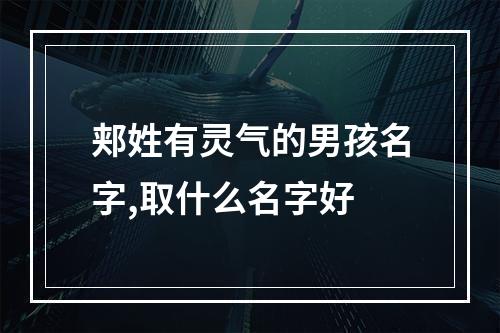 郏姓有灵气的男孩名字,取什么名字好