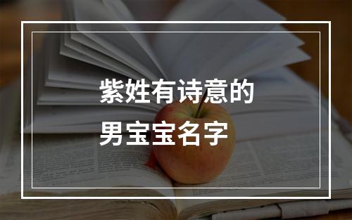 紫姓有诗意的男宝宝名字