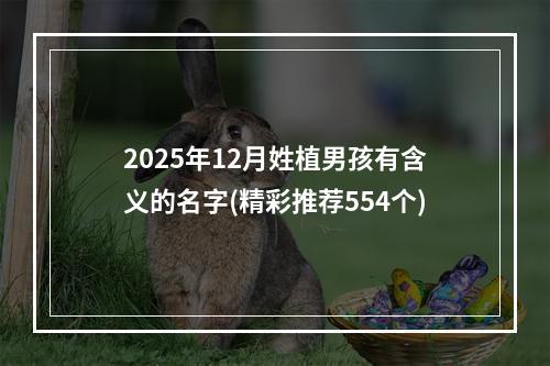 2025年12月姓植男孩有含义的名字(精彩推荐554个)