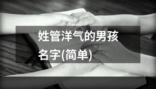 姓管洋气的男孩名字(简单)