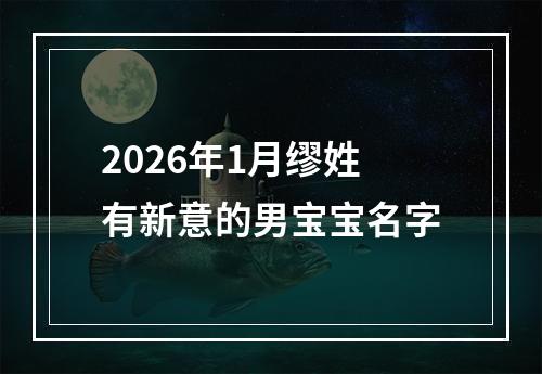 2026年1月缪姓有新意的男宝宝名字