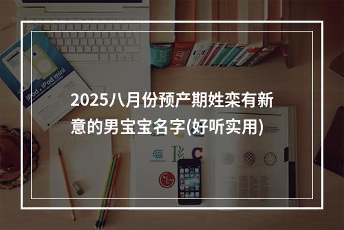 2025八月份预产期姓栾有新意的男宝宝名字(好听实用)