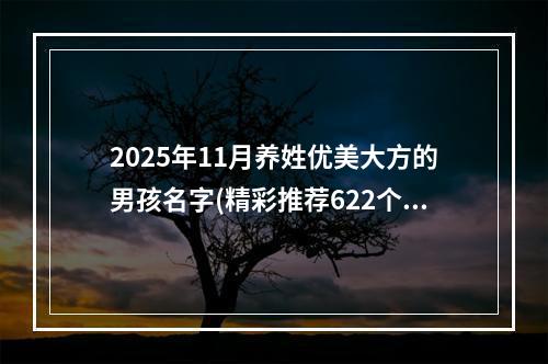 2025年11月养姓优美大方的男孩名字(精彩推荐622个)