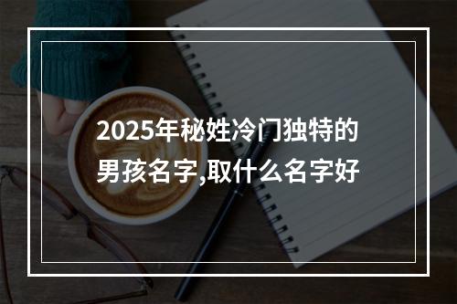 2025年秘姓冷门独特的男孩名字,取什么名字好