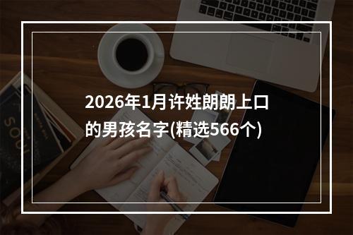 2026年1月许姓朗朗上口的男孩名字(精选566个)