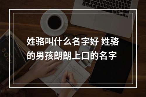 姓骆叫什么名字好 姓骆的男孩朗朗上口的名字