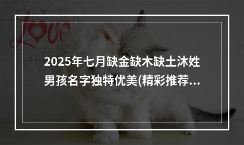 2025年七月缺金缺木缺土沐姓男孩名字独特优美(精彩推荐)