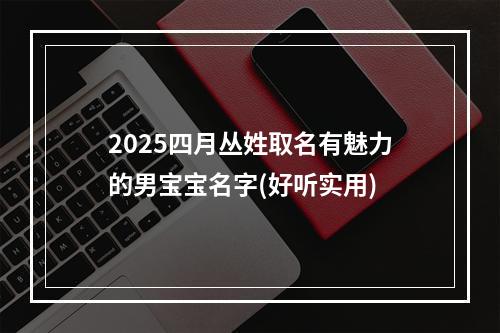 2025四月丛姓取名有魅力的男宝宝名字(好听实用)
