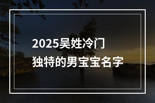 2025吴姓冷门独特的男宝宝名字
