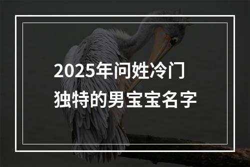 2025年问姓冷门独特的男宝宝名字