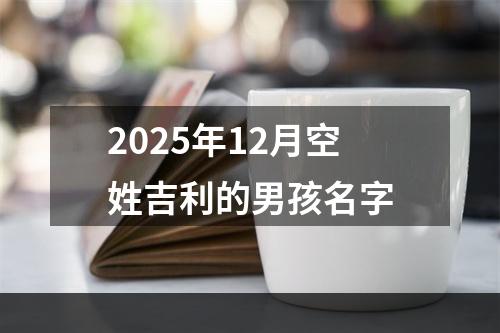 2025年12月空姓吉利的男孩名字