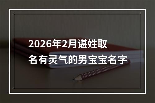2026年2月谌姓取名有灵气的男宝宝名字