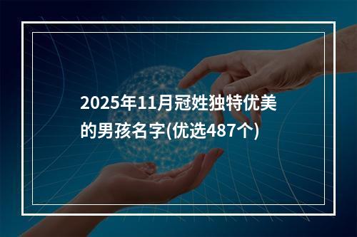 2025年11月冠姓独特优美的男孩名字(优选487个)