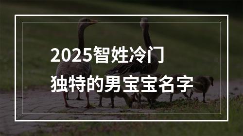 2025智姓冷门独特的男宝宝名字