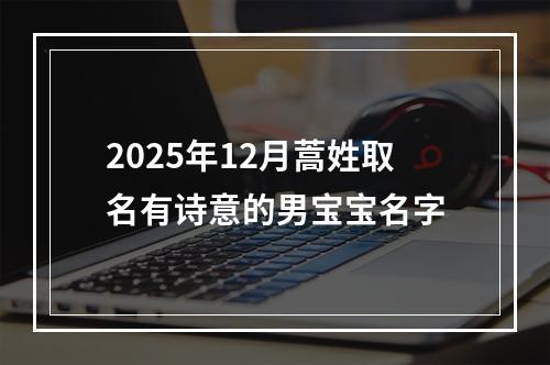 2025年12月蒿姓取名有诗意的男宝宝名字