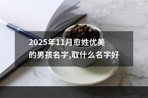 2025年11月愈姓优美的男孩名字,取什么名字好