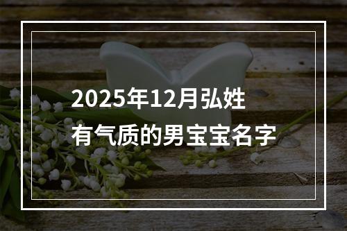2025年12月弘姓有气质的男宝宝名字