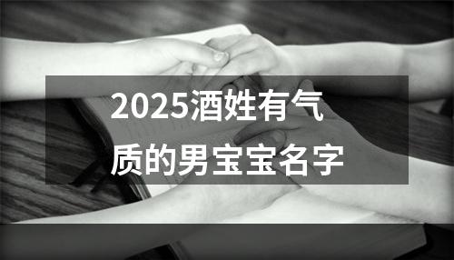 2025酒姓有气质的男宝宝名字