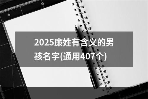 2025廉姓有含义的男孩名字(通用407个)