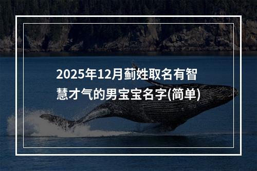 2025年12月蓟姓取名有智慧才气的男宝宝名字(简单)